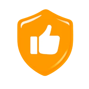 icon shield